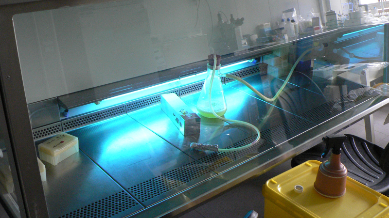 Illustration for article titled How Ultraviolet Light Will Sterilize Super Bugs